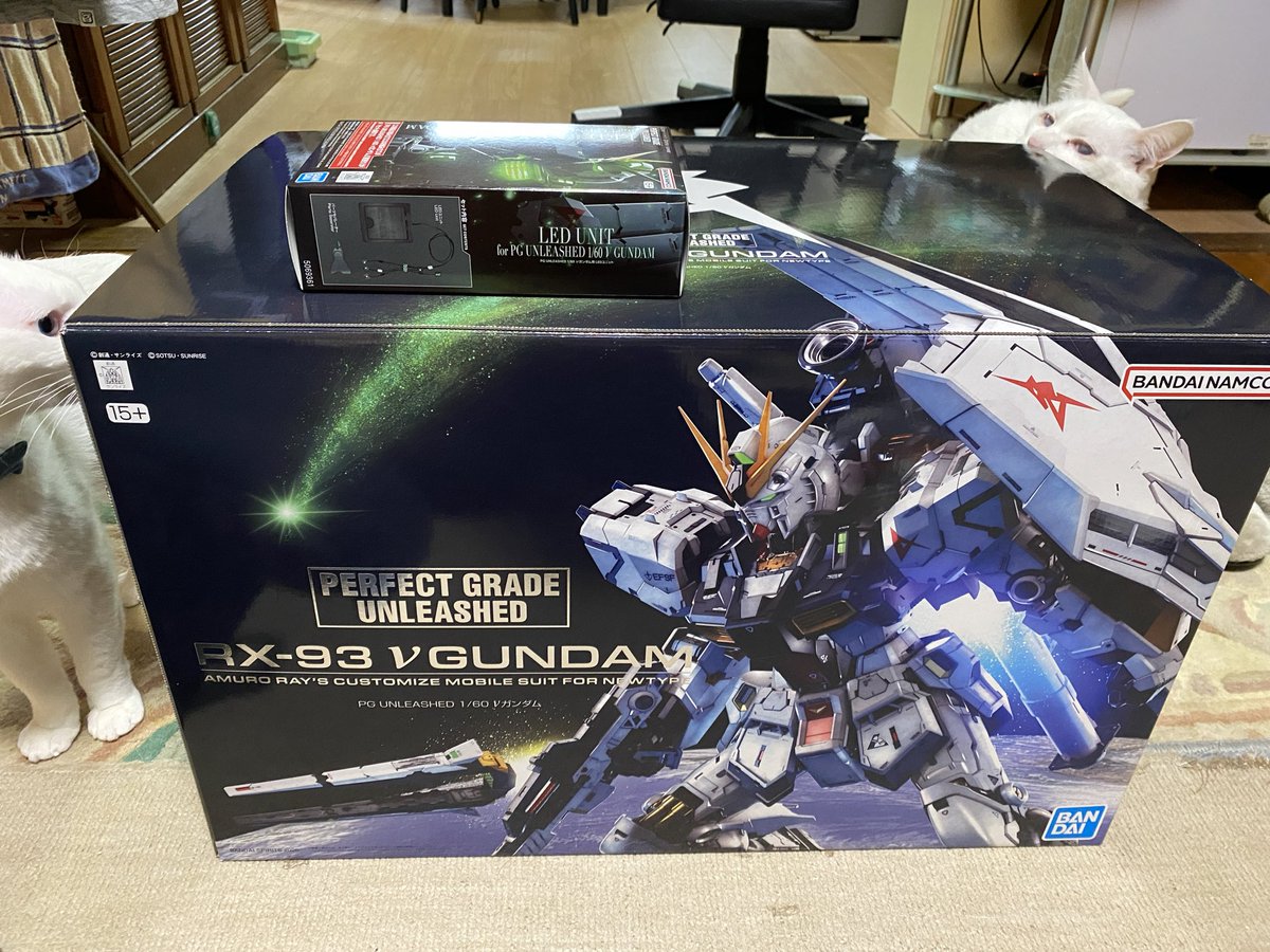 大上犬太 tweet media