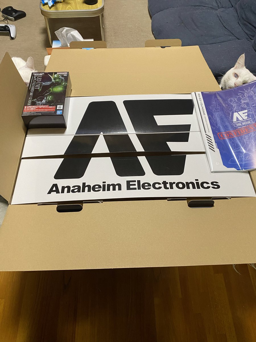 大上犬太 tweet media