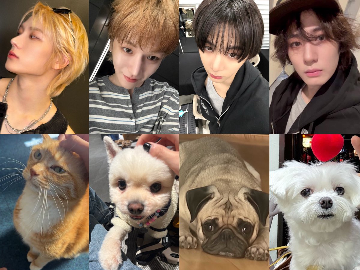 FAMILY NEXTDOOR 
シンバ、テバク、トゥパル、コニ
みんな雰囲気、そっくり🐾