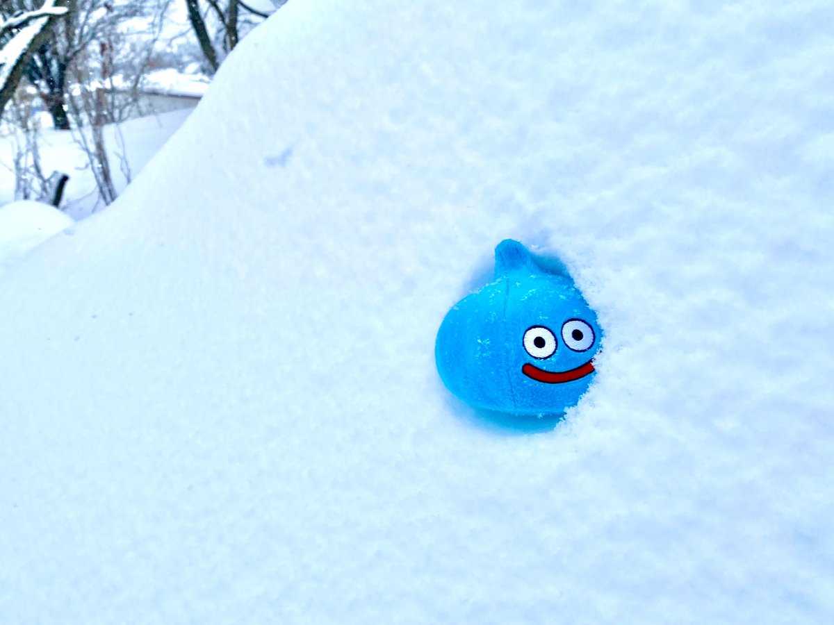 あまりにも雪がモフモフだったので……

スラ・ストライク‼️

＃DQ