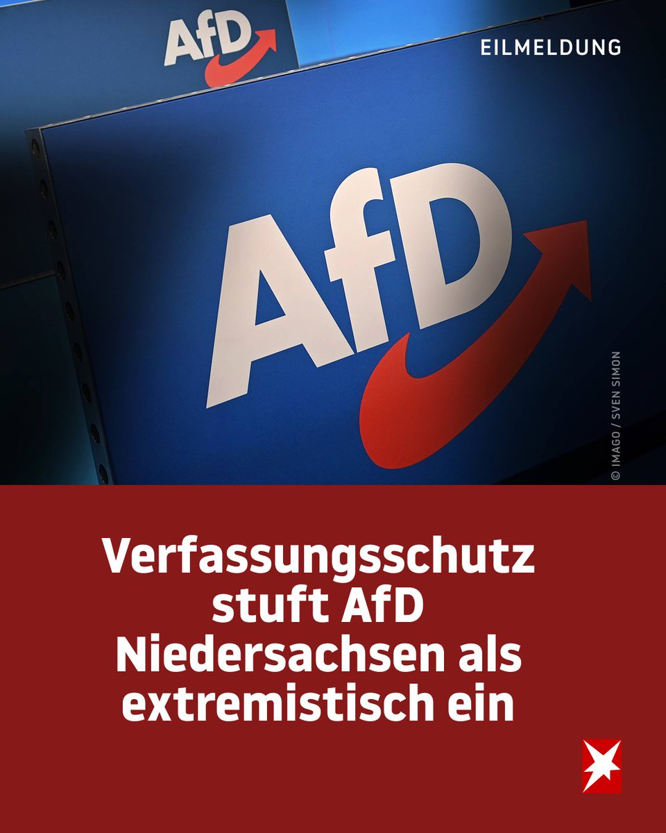 stern tweet media