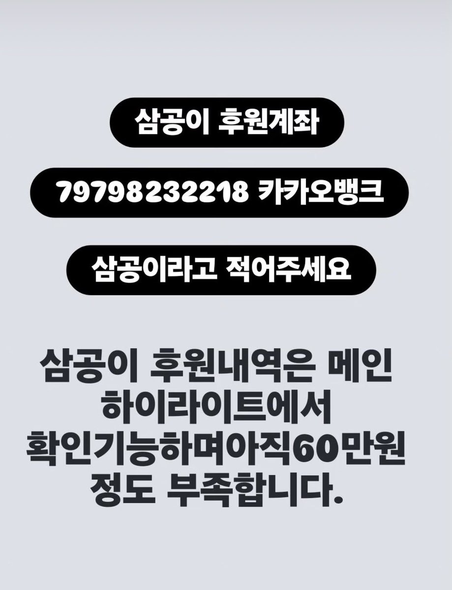 영광군유기동물보호소 tweet media