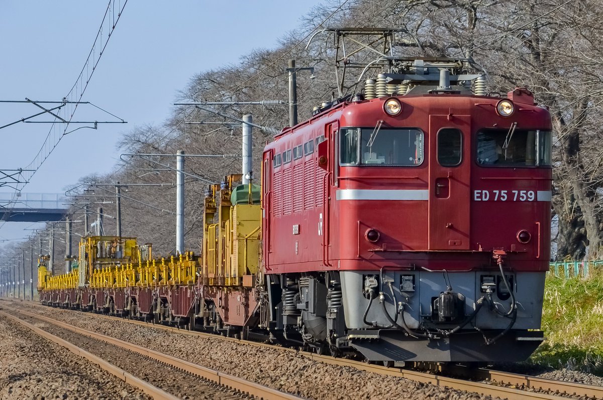 まおいち tweet media