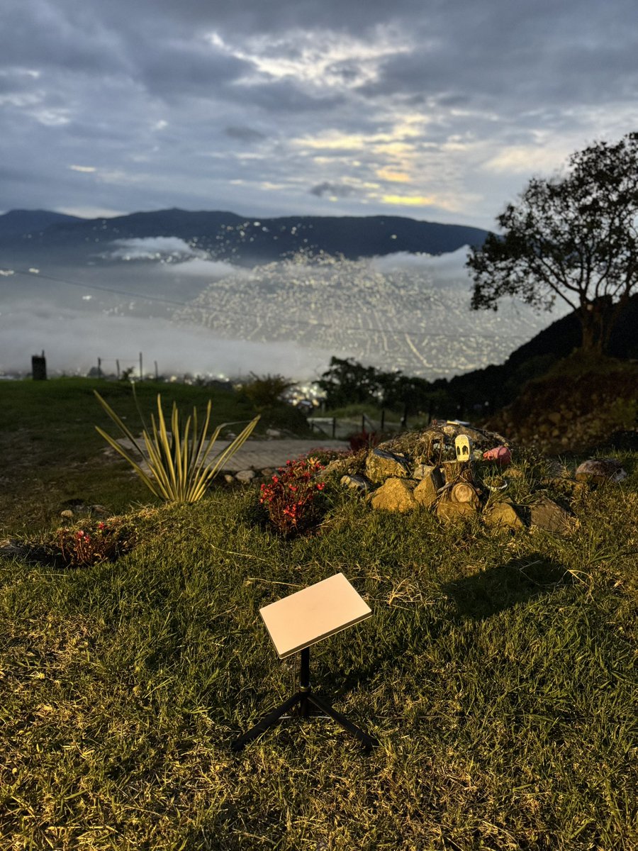 Alastair tweet media