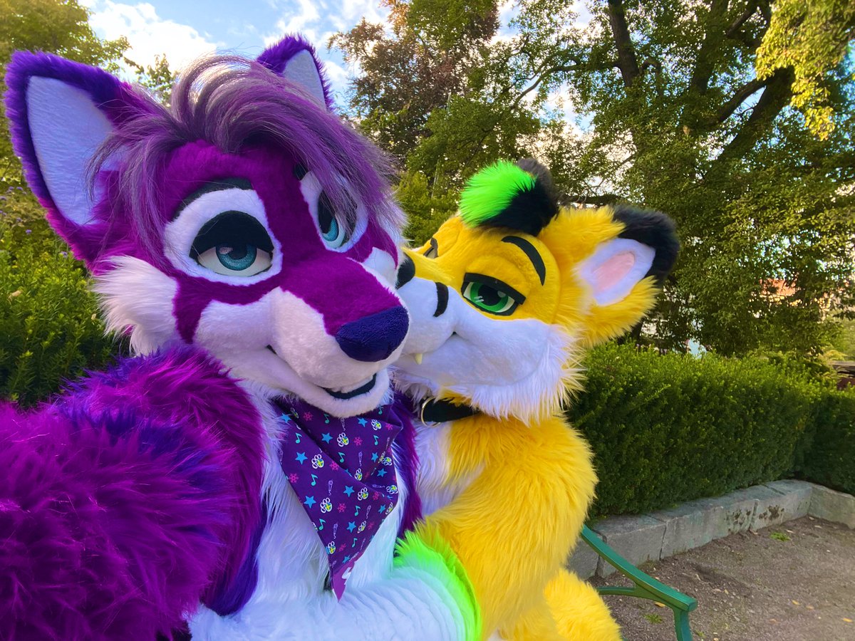 DoggoShayed's tweet image. HOW TO FIND ME AT NFC (you won’t)

✅ kidnap me
✅ give me alcogol 
✅ hand me your belongings
✅ be weird (I know you)
✅ give me cinnamon buns

❌ be weird
❌ steal my fika
❌ ask me for THAT seltzer