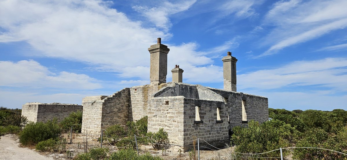 Paul Carmody tweet media