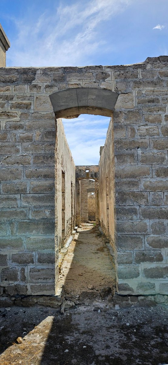 Paul Carmody tweet media