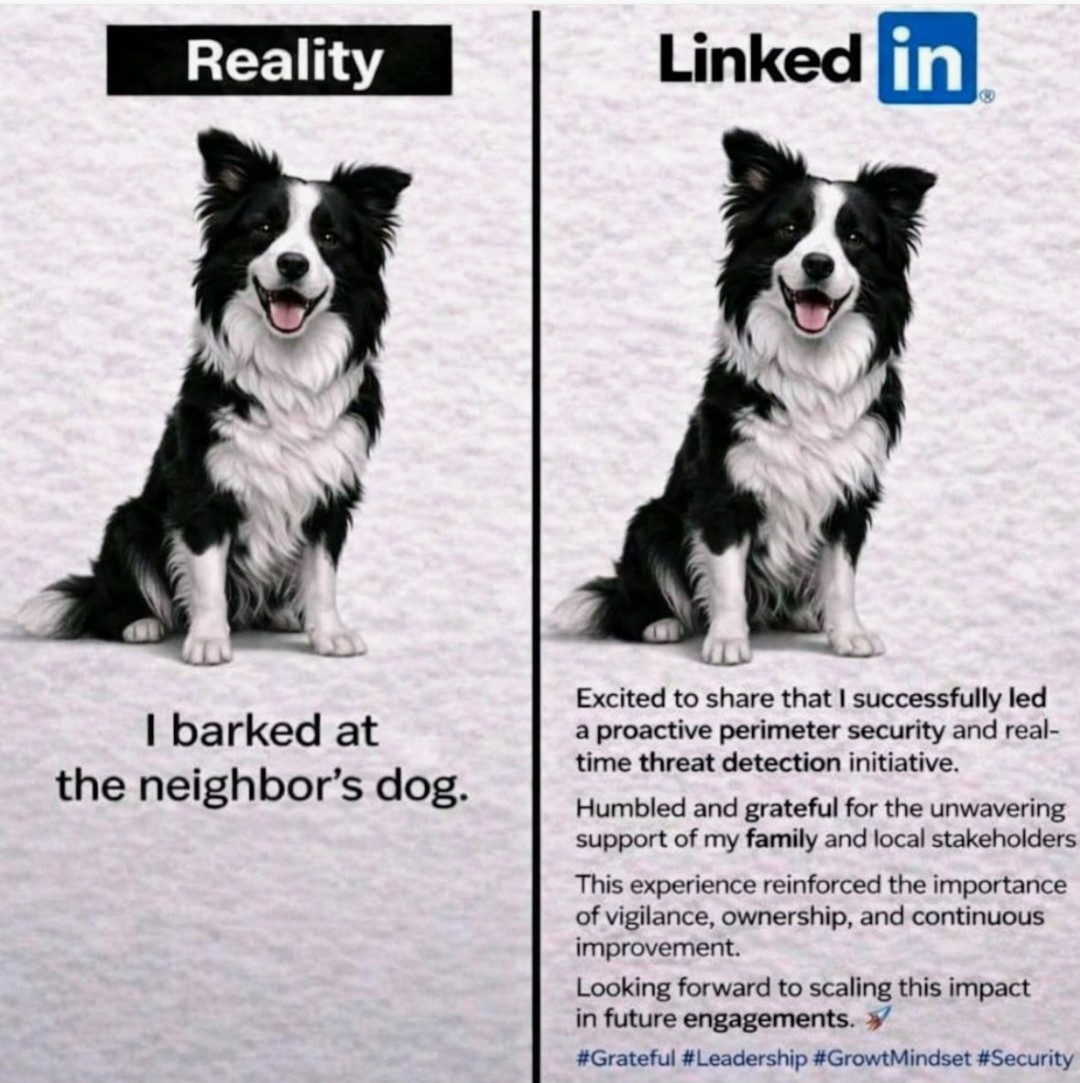 ManMazepa's tweet photo. All you need to know about LinkedIn: https://t.co/xMBKpXFH8H