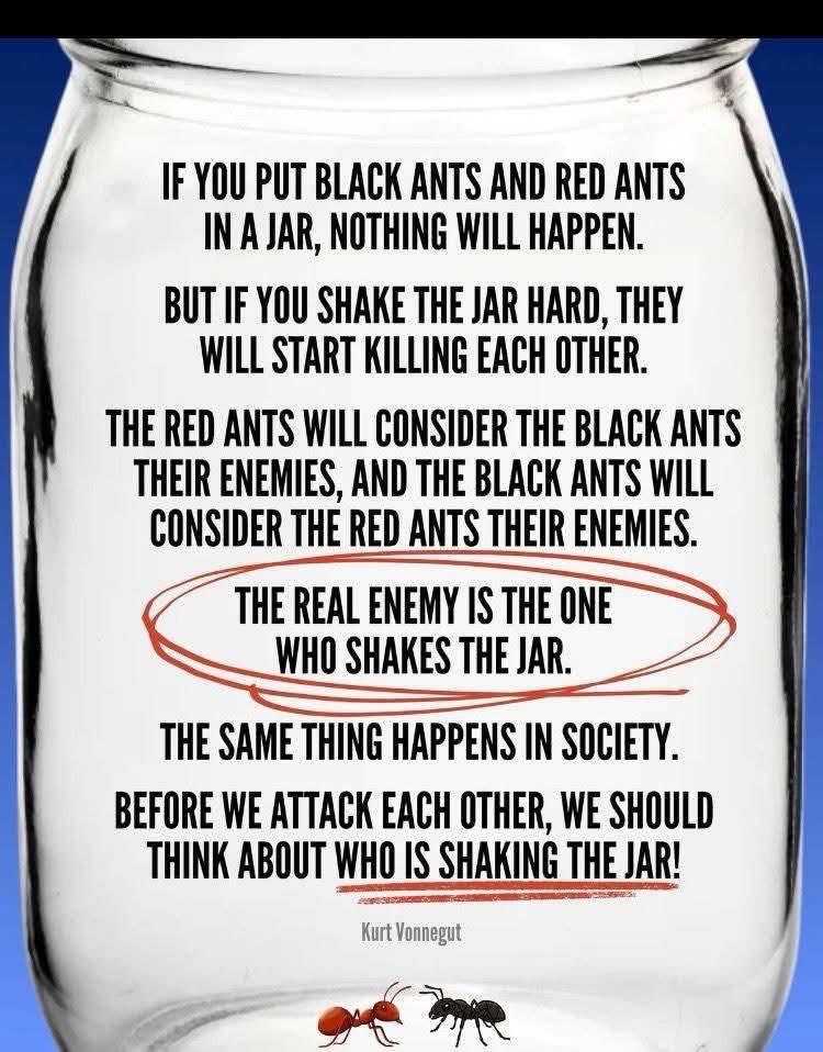 James Melville 🚜 tweet media