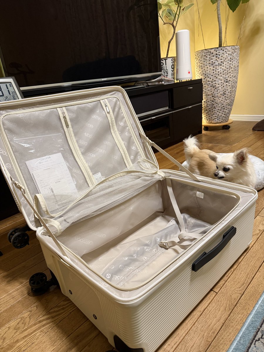 𝐦𝐢𝐨 ✈︎ 🇺🇸tampa (@ARMYmioBTS) / Posts / X