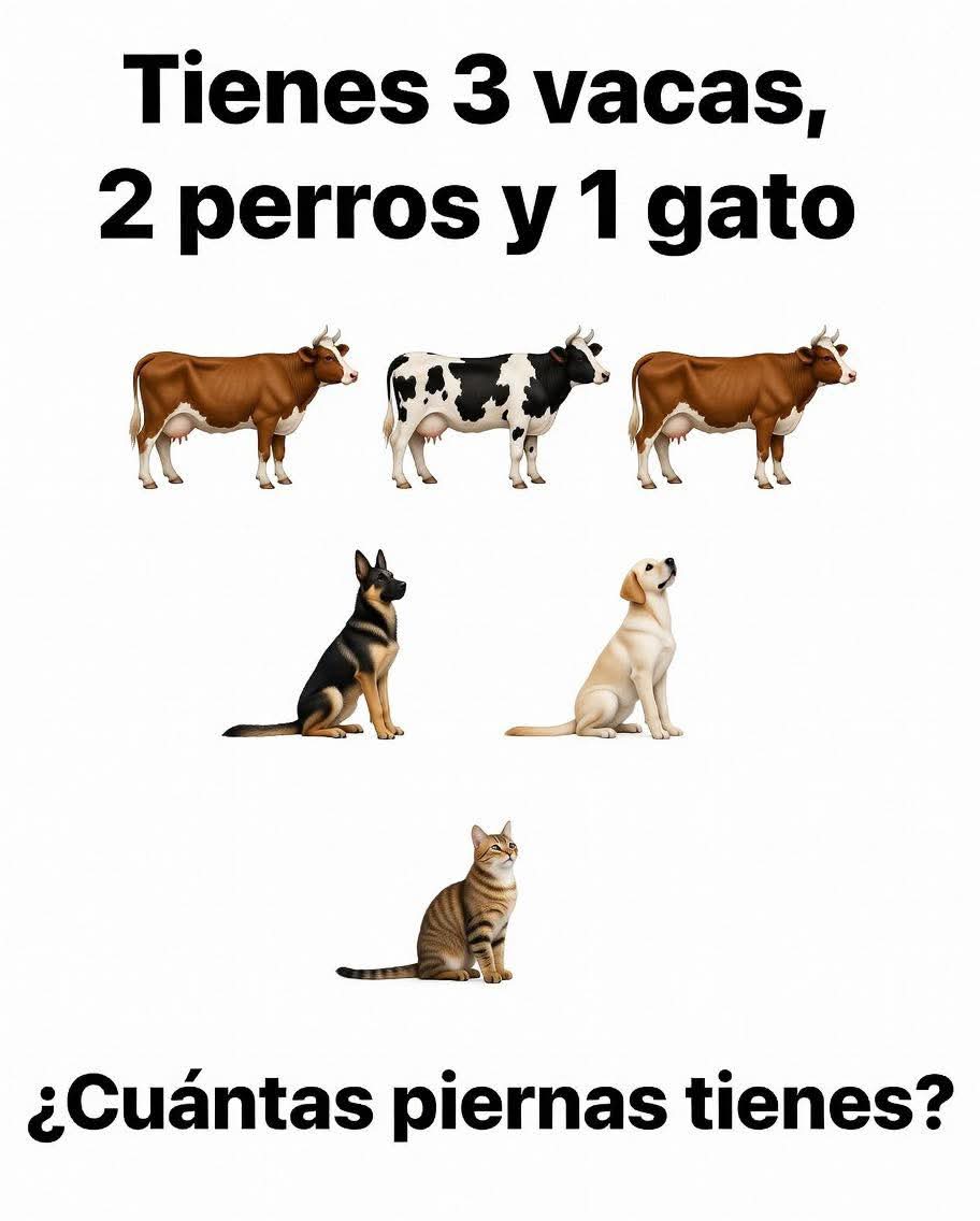 Debbie25💜🇦🇷 tweet media
