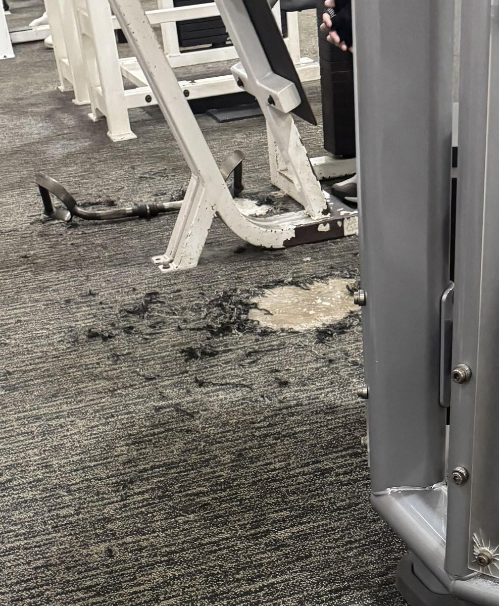 ☆ C a r m s ☆ tweet media