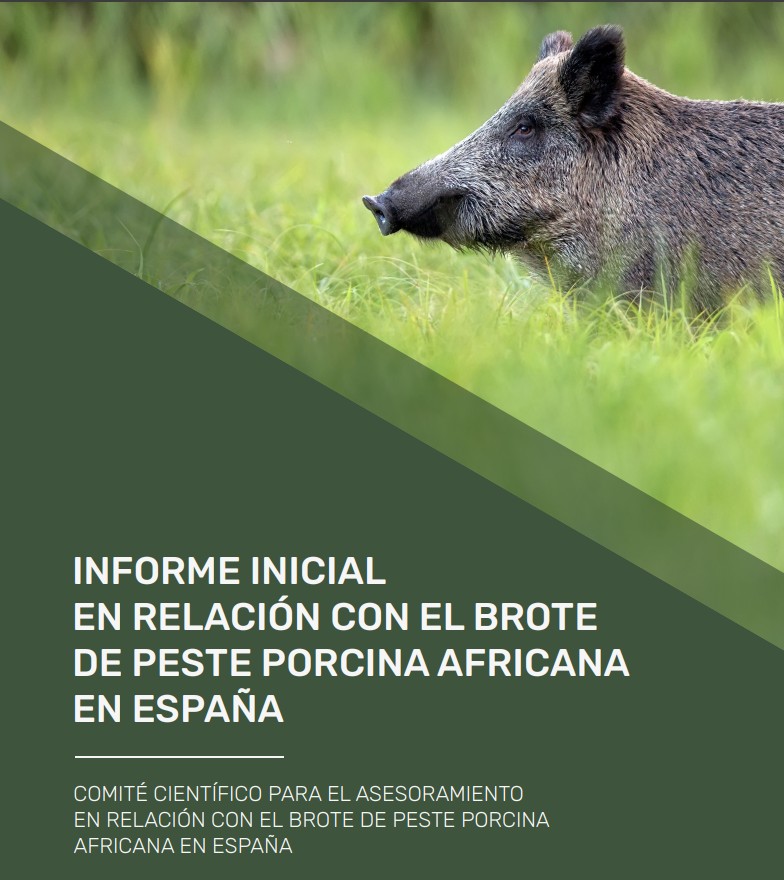 avaporc's tweet photo. Informe Sobre el brote de PPA en España:  Es importante adelantarse al virus: 👇https://t.co/8vpqS1NusF https://t.co/LKDXq7Sufv