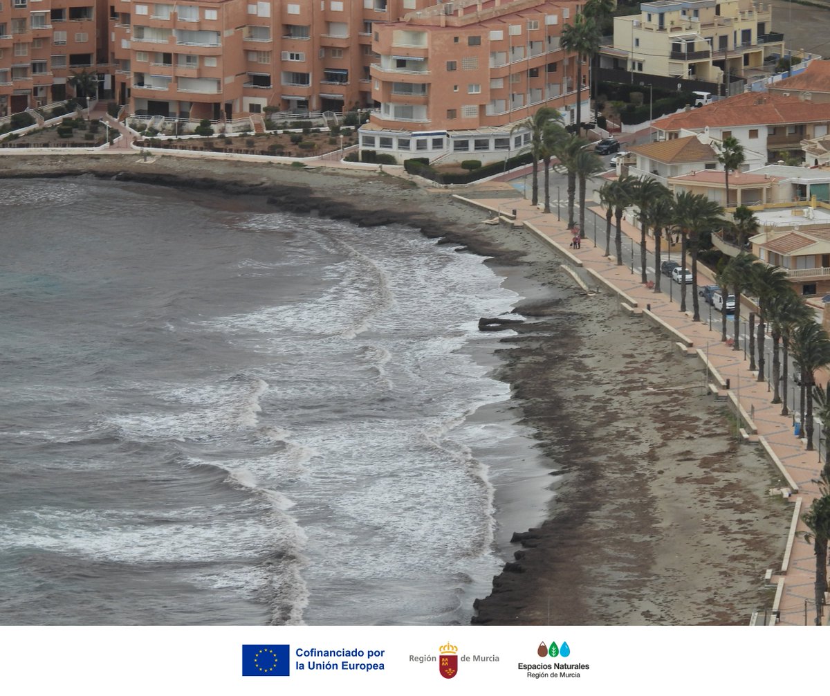 Parque Regional Calnegre y Cabo Cope tweet media