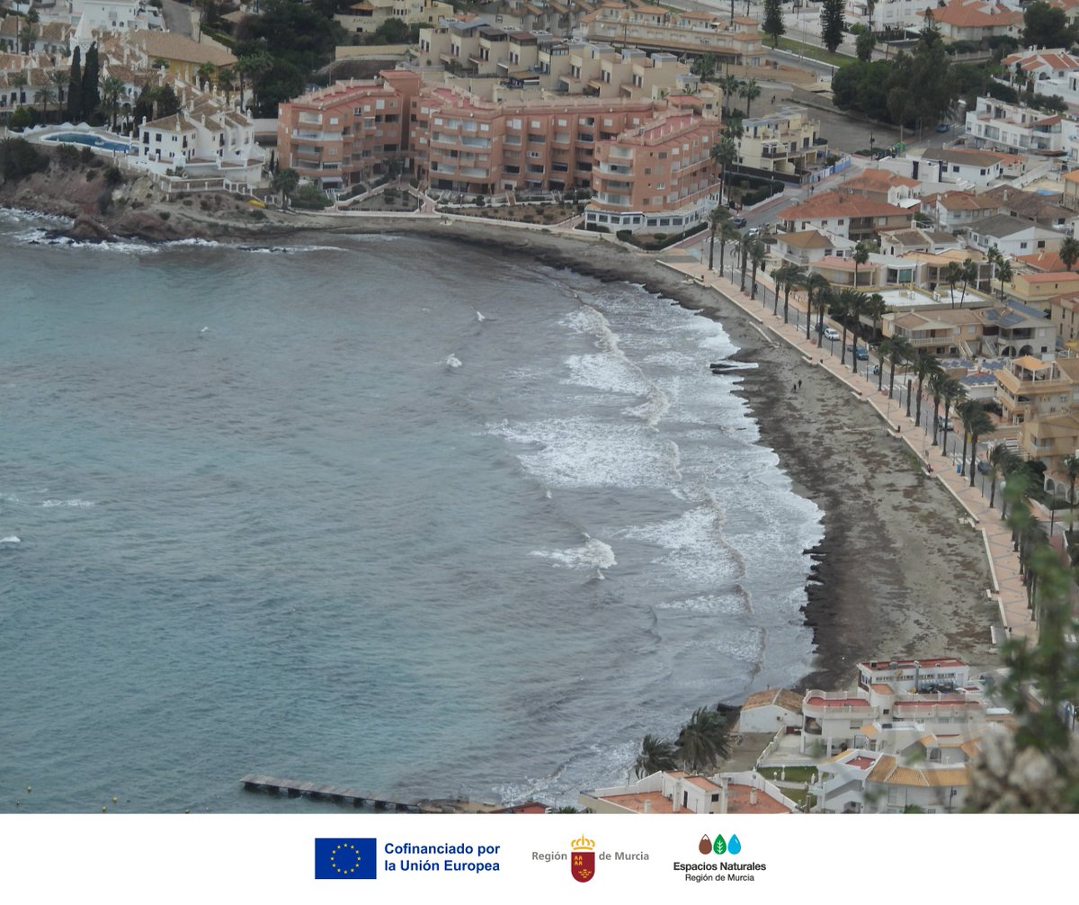 Parque Regional Calnegre y Cabo Cope tweet media