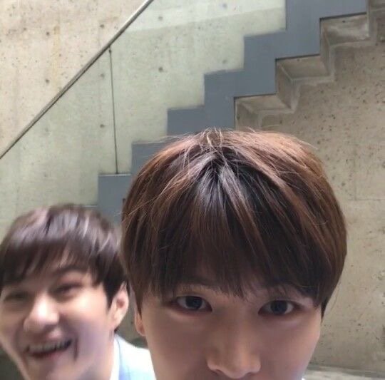 뇽 tweet media