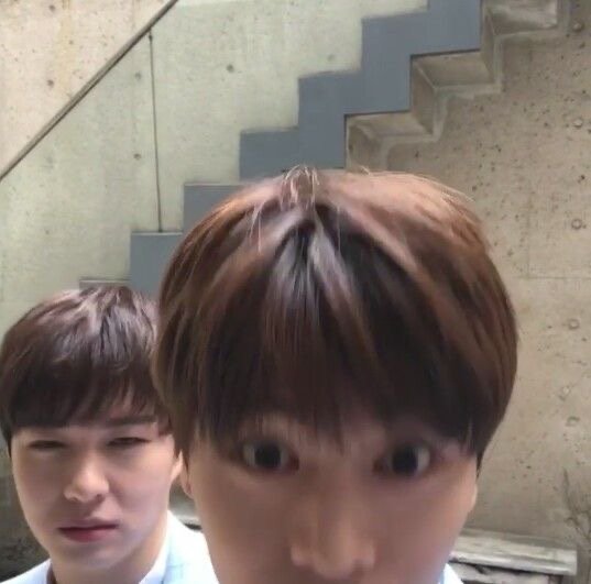 뇽 tweet media