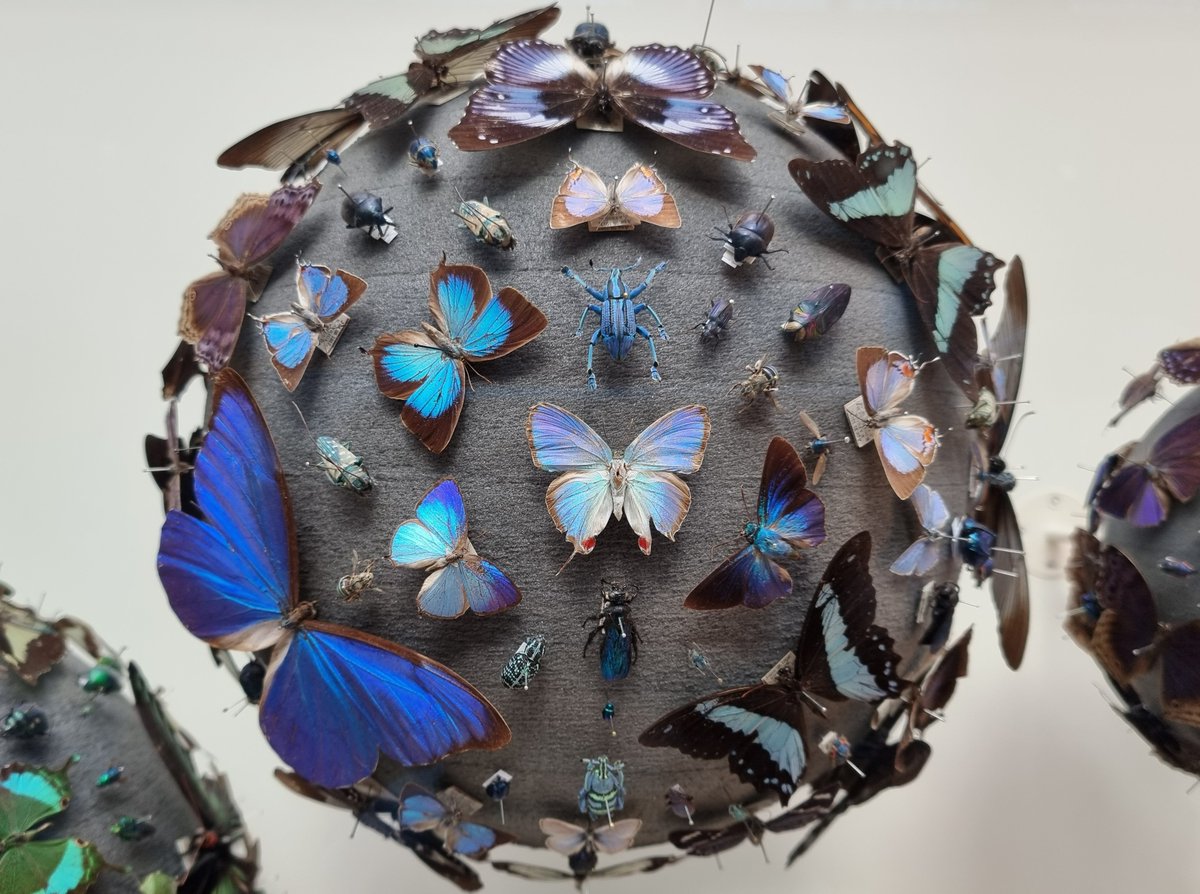 Oxford University Museum of Natural History: