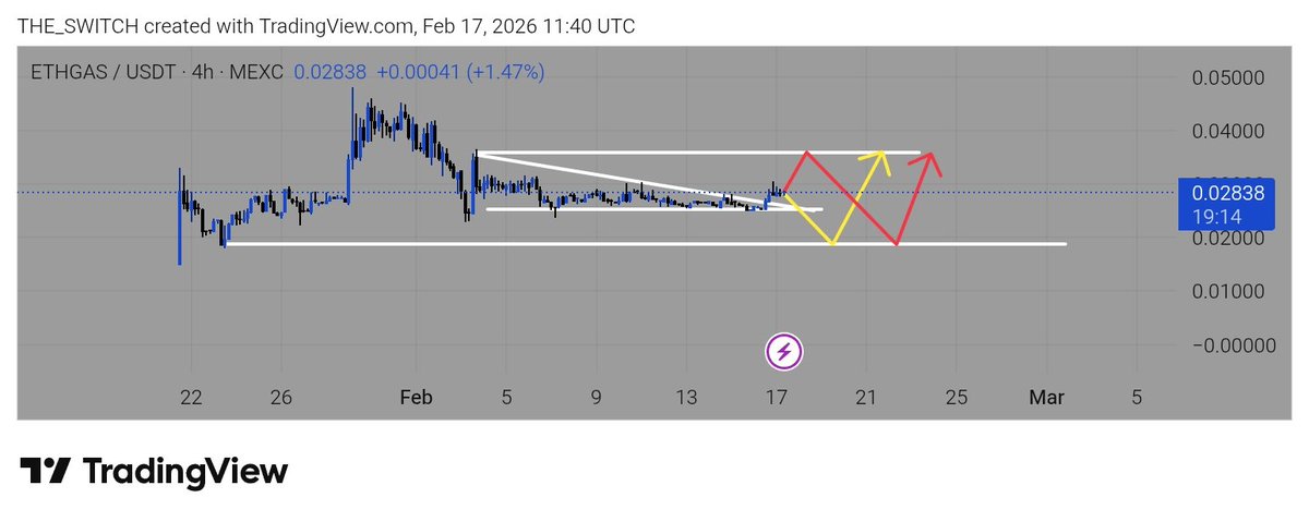 THE SWITCH tweet media