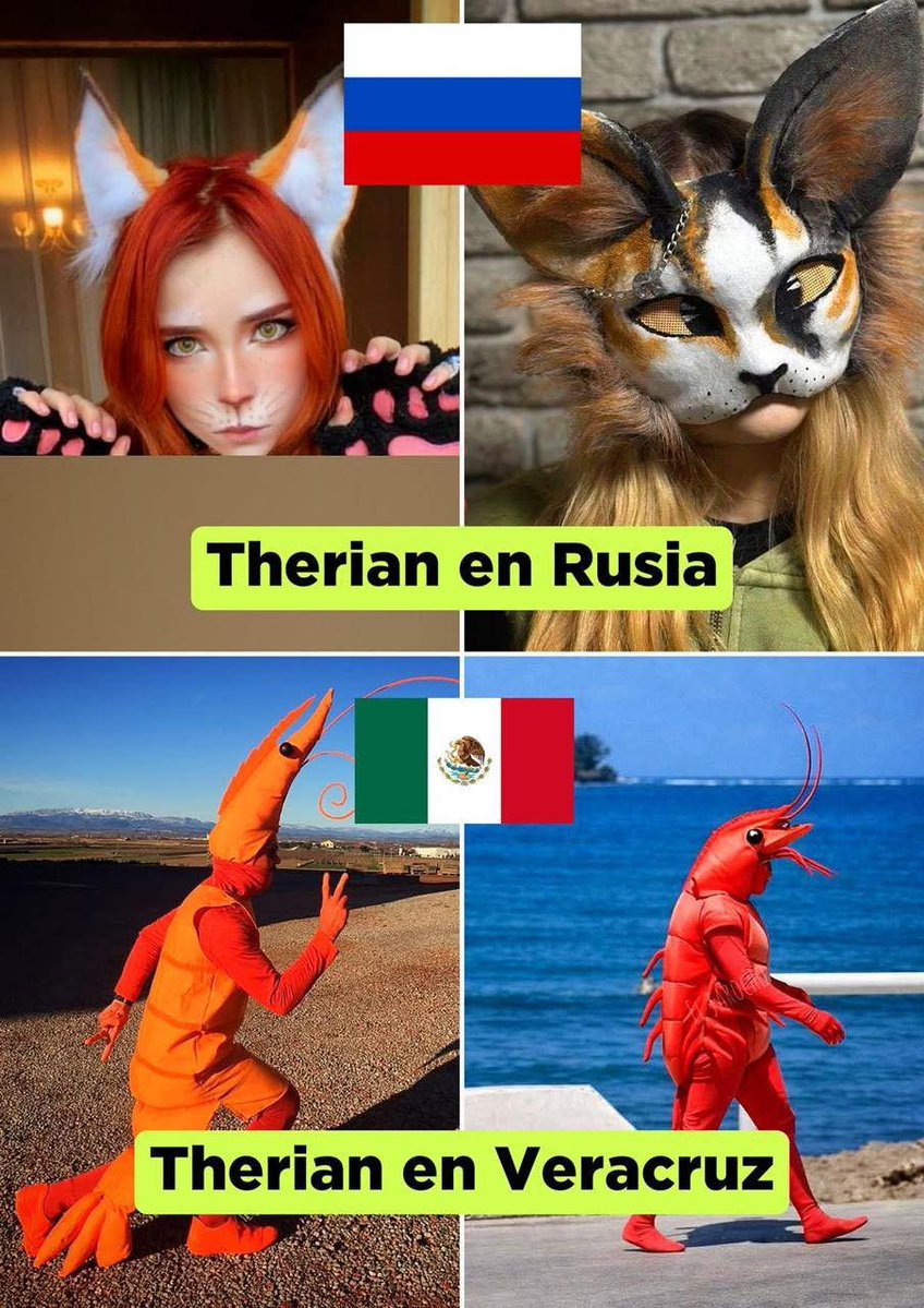 En jarocholandia es mejor 🦞🦐