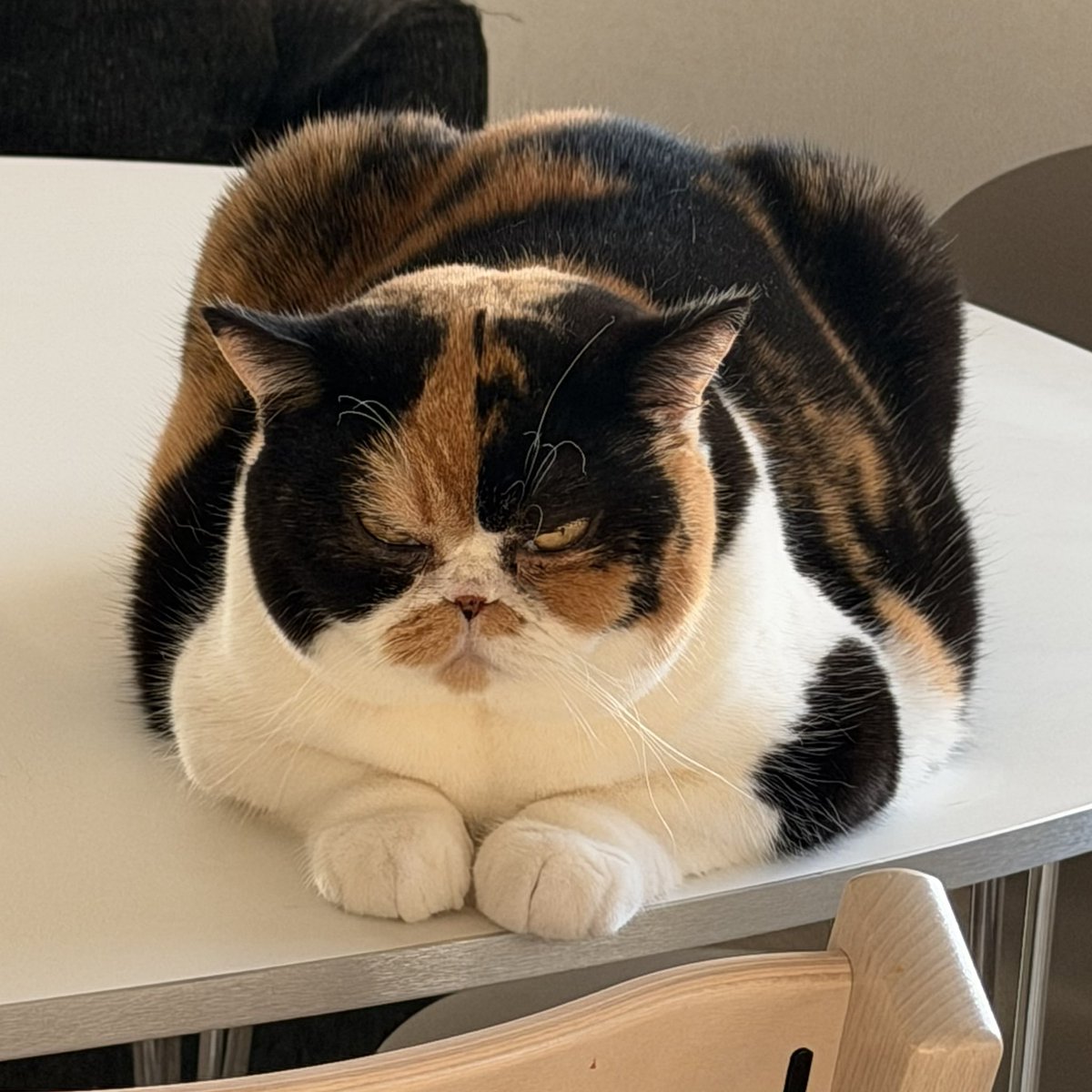 これがこう！ 2004年 ↔︎ 2026年