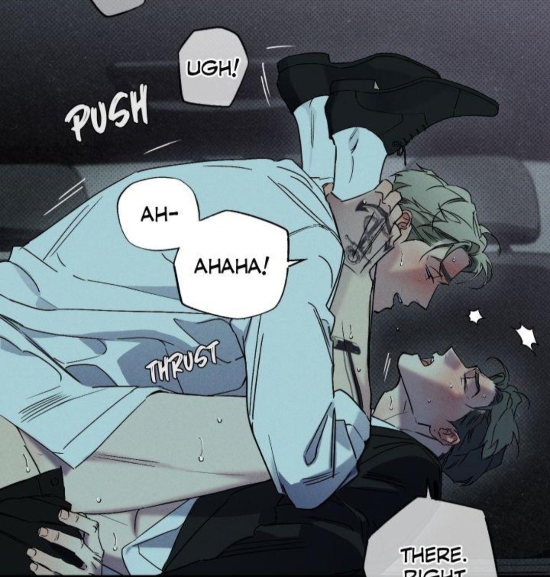 Wani 🐈‍⬛️ tweet media