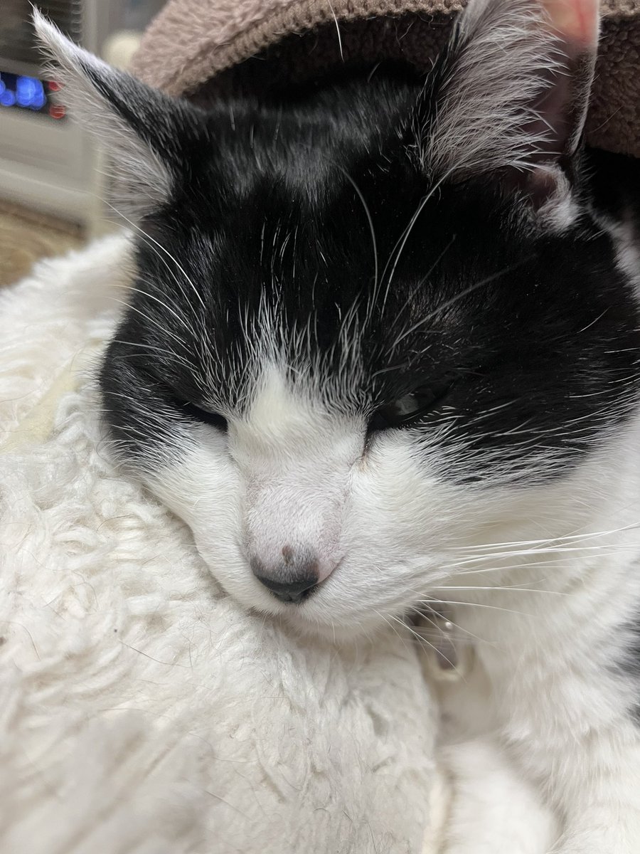 みっちょん (@aho326) / Posts / X