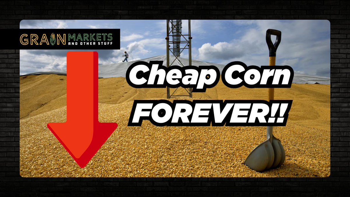 USDA: Corn to Stay Below $4.50 for 10 Years youtu.be/M9rrIb0GKGc?si… via <a href="/YouTube/">YouTube</a>