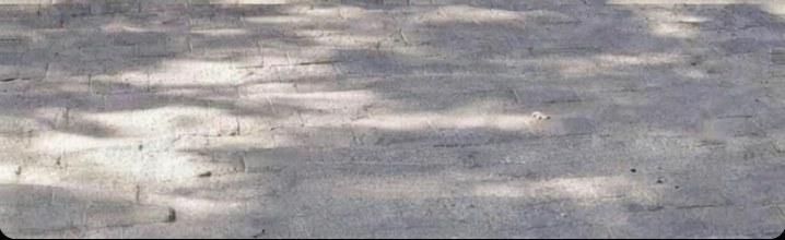 A picture that will get you confused.