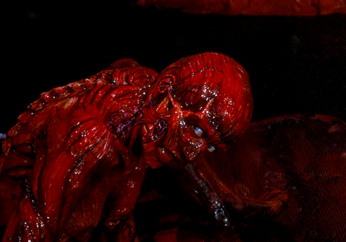 The Meat Saint 🥩⛪ tweet media