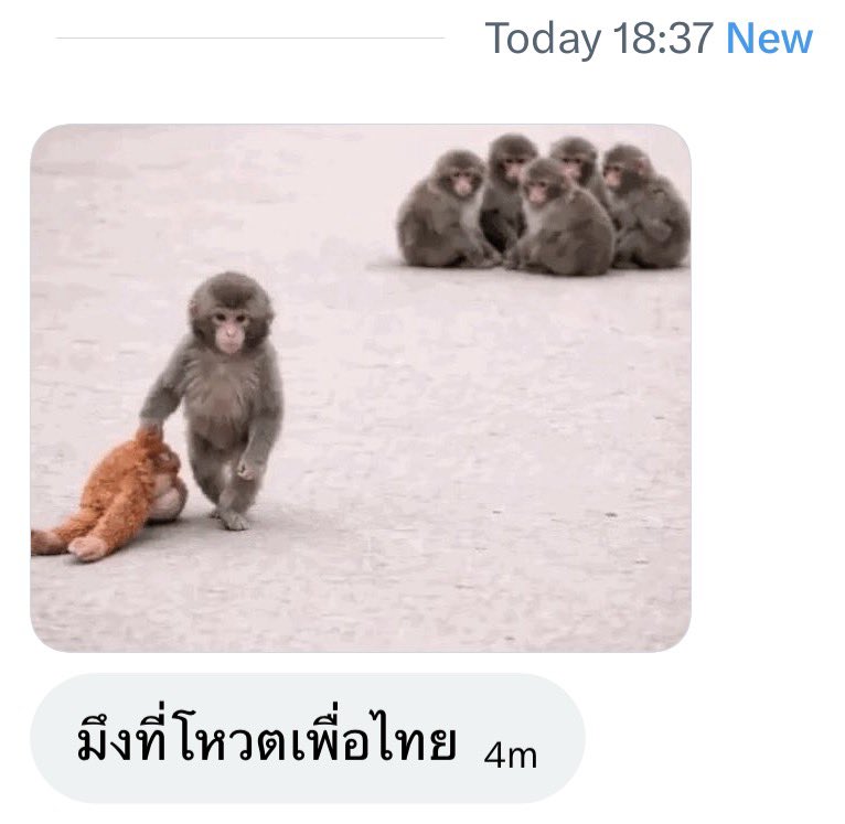 # monkeyforpheuthai 🐒♥️