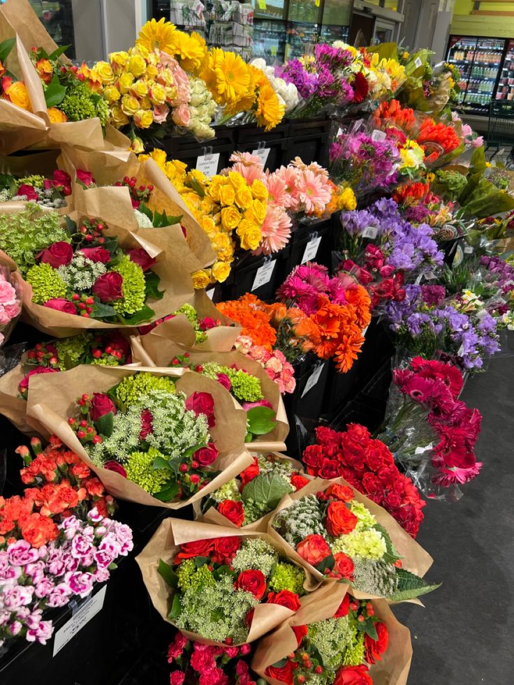 𝓣𝓱𝓮𝓑𝓵𝓸𝓼𝓼𝓸𝓶𝓢𝓽𝓾𝓭𝓲𝓸 (@phollukidukaan) on Twitter photo 