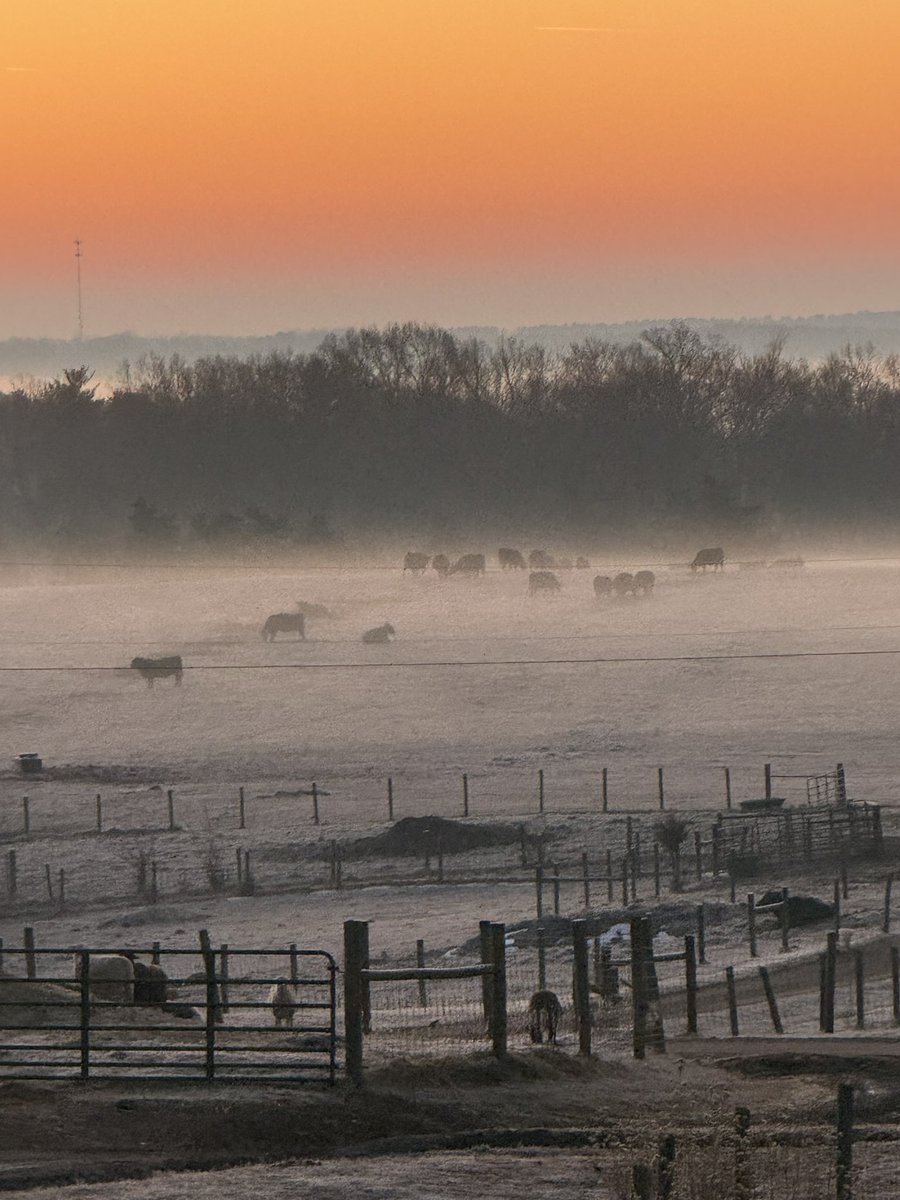 Little froggy in the foothills.