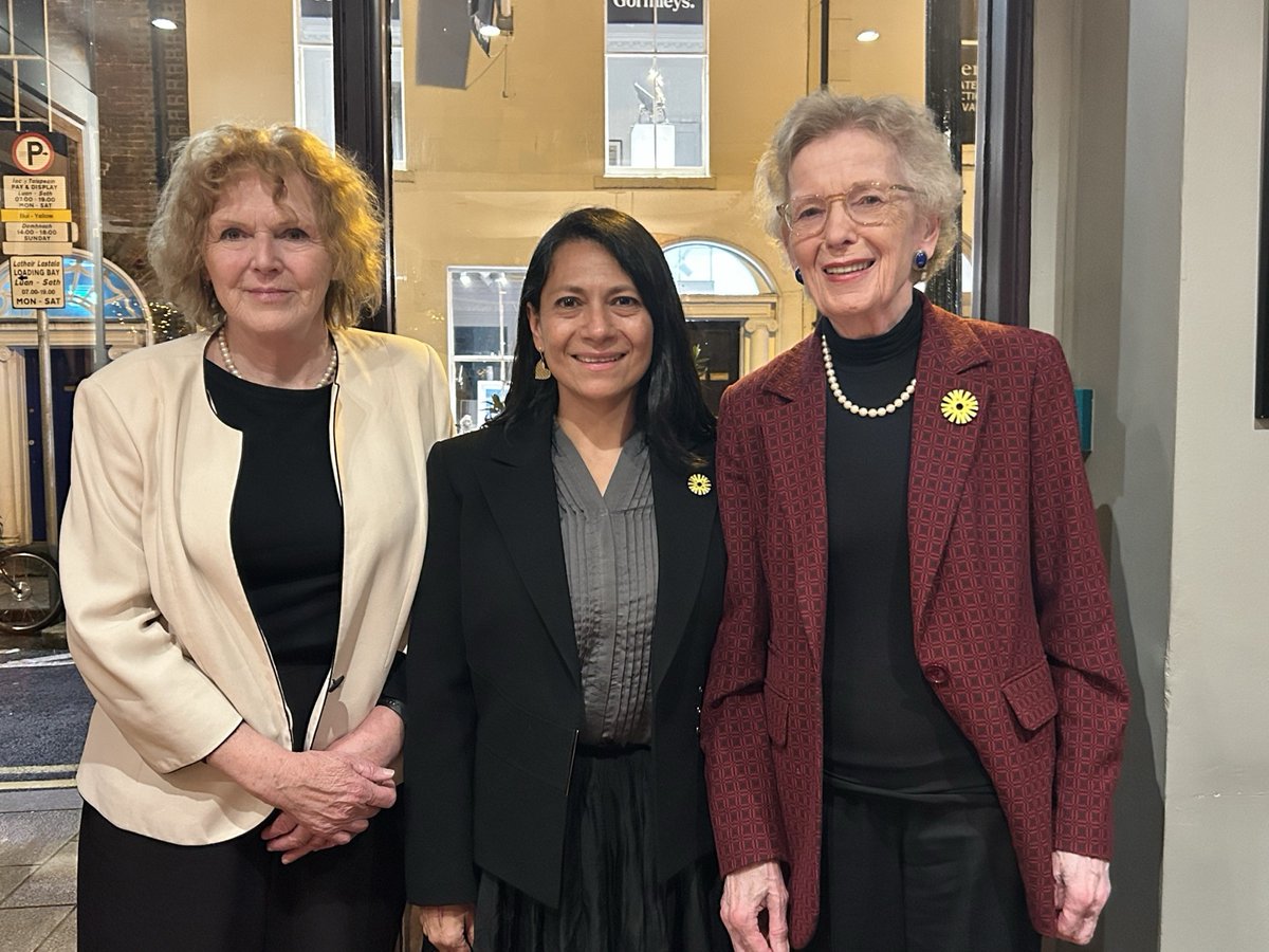 Mary Lawlor UN Special Rapporteur HRDs tweet media