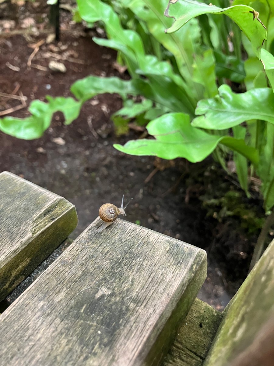 Amy Laura Hall tweet media