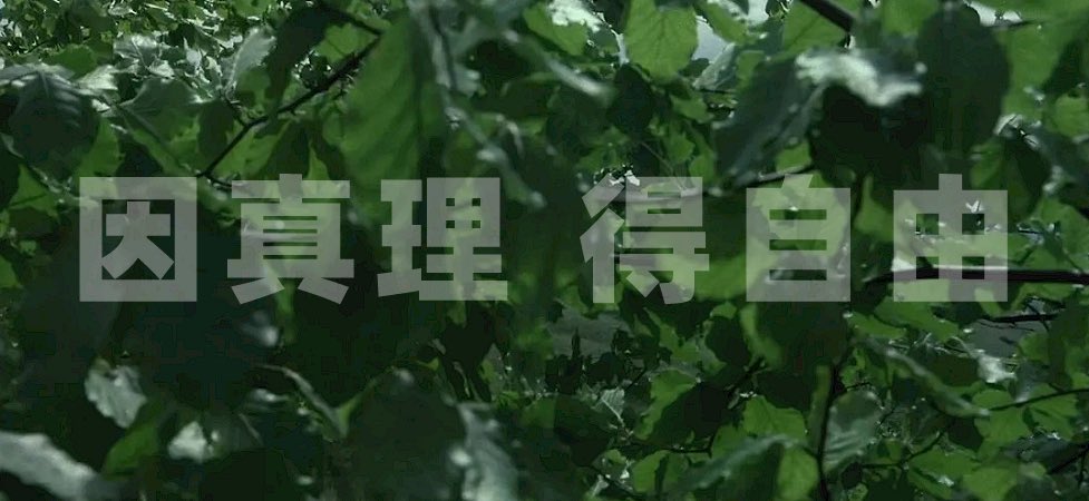 NFSC7777777's tweet photo. 推动着人类进步的，从不是“英雄”与“权威”

人最可贵的品质，是能明智地意识到什么不该相信。       —— 欧里庇得斯

▌怀疑是人的天性怀疑是人的天性之一，是人类理性思维的表现，是发现缺陷、谬误，寻找真相的必经之路，也是人类共同认可的探索、修正、纠正错误的路径的一条必经路径。人类文明的每一次进步都是从怀疑开始的。对前人认定的，或是对官方所言一概认可，一味盲从轻信，时代就难以再进一步，真相就不易最终浮出水面和最终确认。

怀疑，是指心中存疑。只有满含好奇心的人才敢于怀疑，只有怀疑才能引起质疑，只有质疑才能发现缺陷和谬误，才能澄清真相，才有可能纠正错误，探求真相、真知。与怀疑相关的还有多疑和质疑两个词。多疑是指多疑惑，疑心重。质疑是心有所疑，提出以求得解答。在当今社会中，这三个词的合理顺序应当是多疑——怀疑——质疑这样的次序，具备多疑心，方有怀疑的动机和欲望，有了怀疑并有了疑点方能质疑。 

▌多疑不是疑心病在某些社会环境中，多疑被认为是不正常的、病态的，然而在一个虚假肆虐的社会中，面对形形色色道貌岸然的“正人君子”，十全十美高大全式的“先进英雄”能被轻易地一概认可么？处于假货层出不穷骗局密布的环境中，睁大双目还落入圈套者比比皆是，假货猖獗横行，多疑是多余的么？把心智健全的一个个正常人改造成仿佛心理有病的多疑病患者。那么多违背常理的东西。
因此，没有怀疑，就没有真实和真相，更谈不上真知。怀疑是一种极其难得的优秀品质，甚至是保护自己正当权益，维护良知正义的必备素质。

▌怀疑精神推动着人类文明的进步质疑是在怀疑的基础之上，经过理性分析发现疑点，继而提出质疑要求疑难解惑。怀疑精神推动着人类文明进步，没有怀疑就没有质疑，就没有人类文明的进步。人类思维的每一次突破，都离不开对固有“权威”的怀疑和随之产生的质疑。

在科技领域尤其如此。拉瓦锡质疑“燃素说”，由此发现了氧气和燃烧的原理；爱因斯坦质疑牛顿的经典力学理论不适合高速运动，由此发现了描述空间扭曲的相对论；熊彼特质疑“剩余价值”学说，由此奠定了一百多年的企业家精神理论，促成了美国经济持久的繁荣……质疑是人正常思维和理性认识分析事物的思想反应，而非有意挑刺儿找茬儿唱反调。质疑过后的英雄更经得起历史检验，事情真相经过认真仔细地审核甄别，是真是伪更加清晰明了，每一个真理的发现无不经过这样的过程。质疑是分辨对错真伪的试金石。

▌怀疑是智慧的开端怀疑是智慧的开端，怀疑精神是一种时代进步所必需的过程和标志，是对真实真相一种本身负责任的态度，非但不能持逆反心理敌对眼光和态度打压，反而要加以呵护、珍惜和鼓励才是。优秀的思想、正确的理论，一定是从相互质疑、反复较量的自由竞争中脱颖而出的。正是有了不断的质疑，社会才能充满真实，社会才能进步，社会才能走向真正的法治和文明。多疑，是充满怀疑精神的一种状态，在非正常状态下尤其必不可少。

多疑不是罪过，而是一种有效的思维方式。难得糊涂、得过且过，才是罪过，才是病态。在一个安全感和是非观缺失的社会，一个契约精神亟待建立的社会，多疑是最正常不过的心态，质疑是公民实现自己权益的必要手段。要祛除人们的多疑心态，就必须建立一个健全的法治社会，也只有这样人们的疑虑方可渐渐消退，社会的诚信才能一步步建立起来。

▌掌握批判性思维，看清真实世界那么，怎样才能培养怀疑与批判精神呢？其实，怀疑与批判精神是人类的天性，只是被“标准答案式”的教育扼杀掉了。

一个人的最大危险，就是拒绝思考，从而对身边的恶失去警惕；一个人的最大错误，就是在犯错的路上狂奔，却失去了刹车的能力。而怀疑与逻辑，让一个人拥有“批判性思维”，在思想上变得清晰，在感觉上变得敏锐，在行动上找到方向。（转）