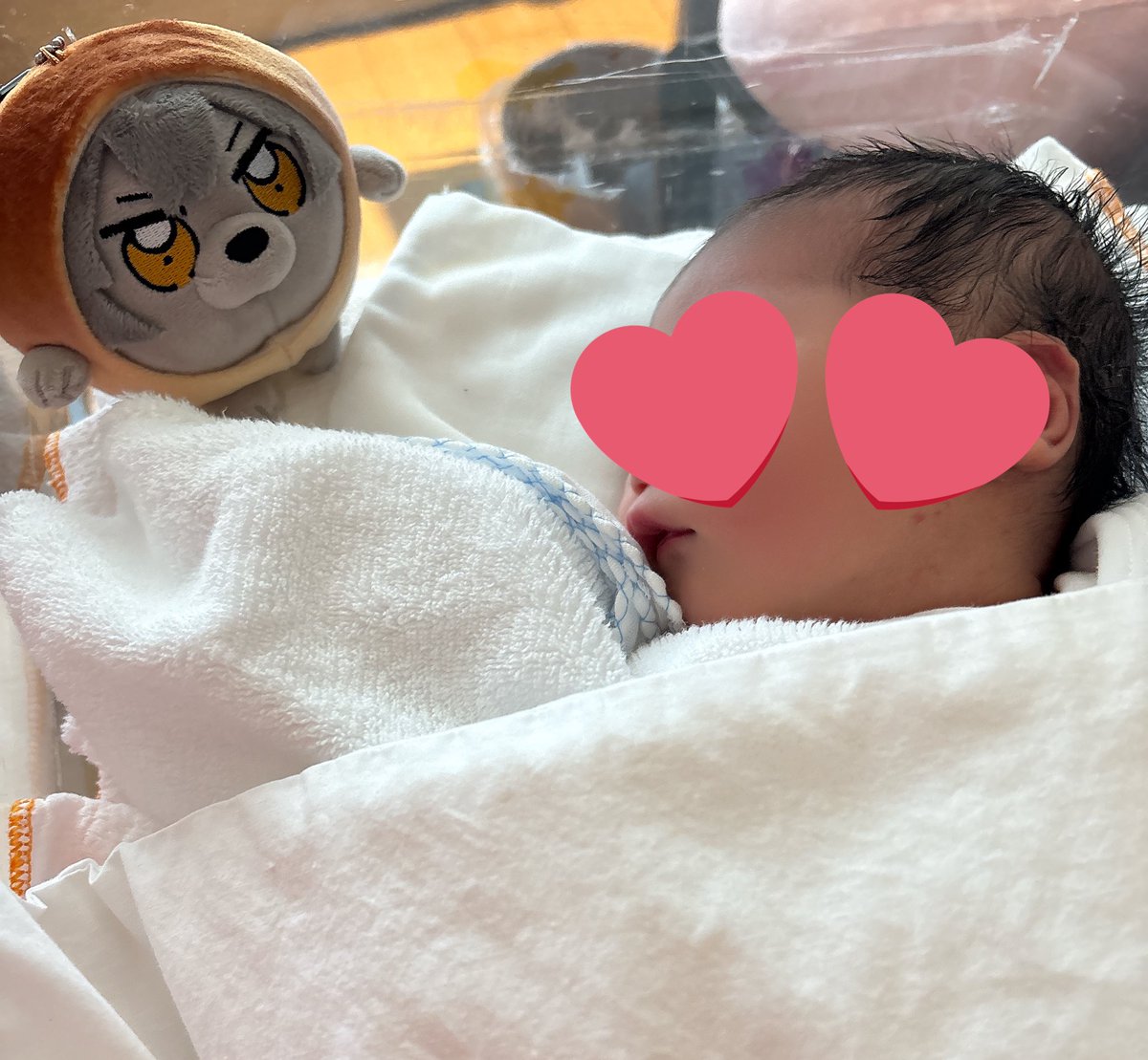 私事ですが先日第一子を出産しました
ゆるりとオタクは続けます✌️