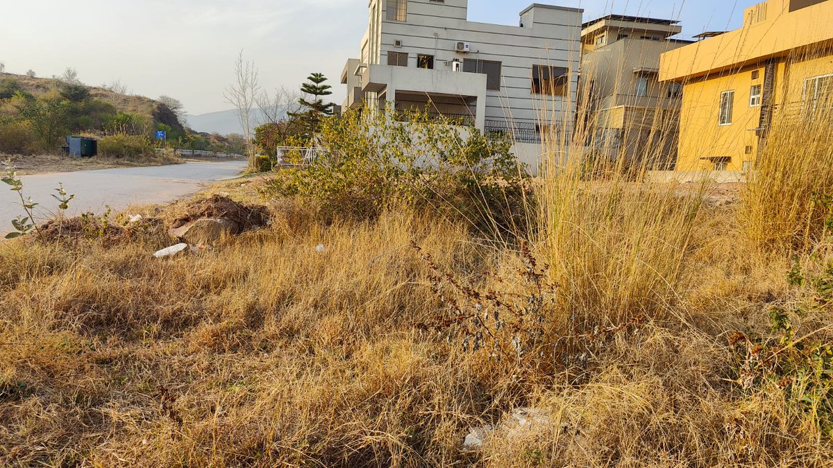 RIFFATSHAH13's tweet photo. @CDAthecapital
@RandhawaAli
 grass &amp; bushes cut work on un constructed plots in Sector D-12
Grass begins to cover roads https://t.co/aHGmphXJhq