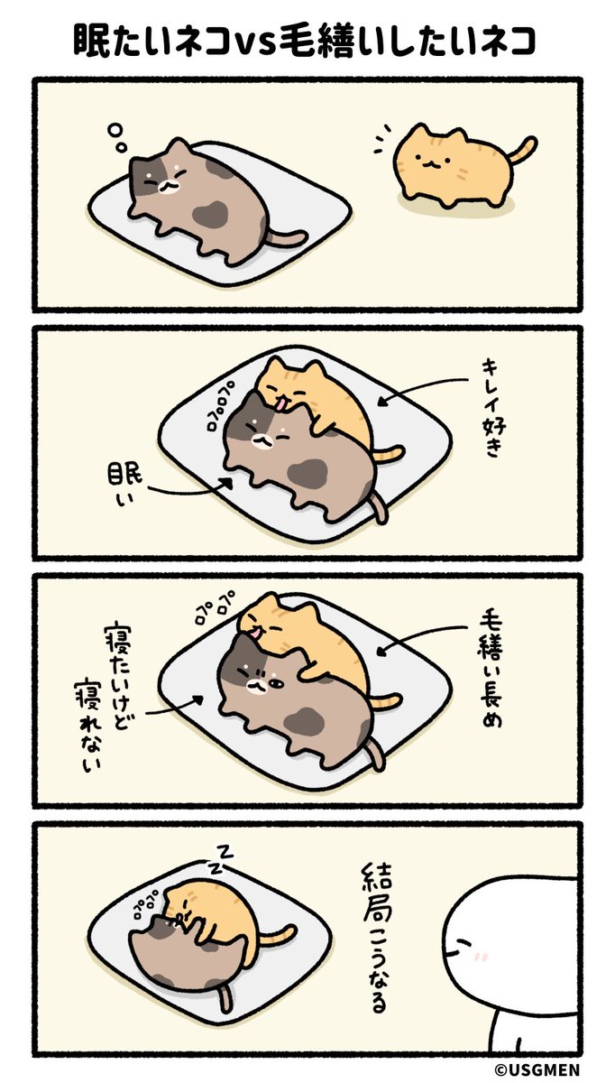 USGMEN's tweet photo. 眠たいネコvs毛繕いしたいネコ https://t.co/oTtjoXUWn5