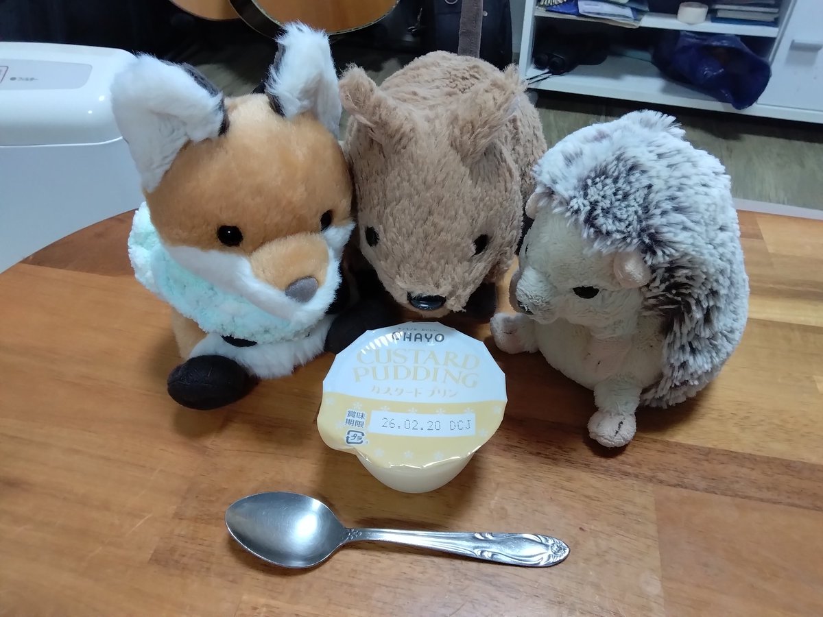 にゃー吉 (@nya_kichi_1215) / Posts / X