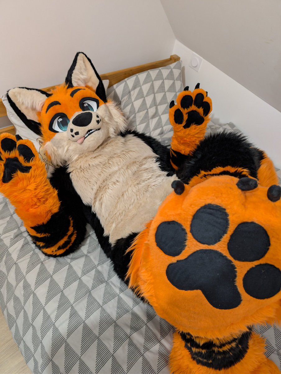 Gryve 🔜 Fauntastic / ATT1 tweet media