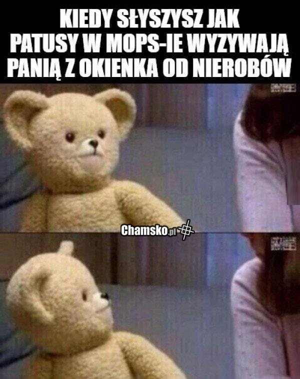 Przed Siebie Iść (@wiktoriadmowsk) on Twitter photo 