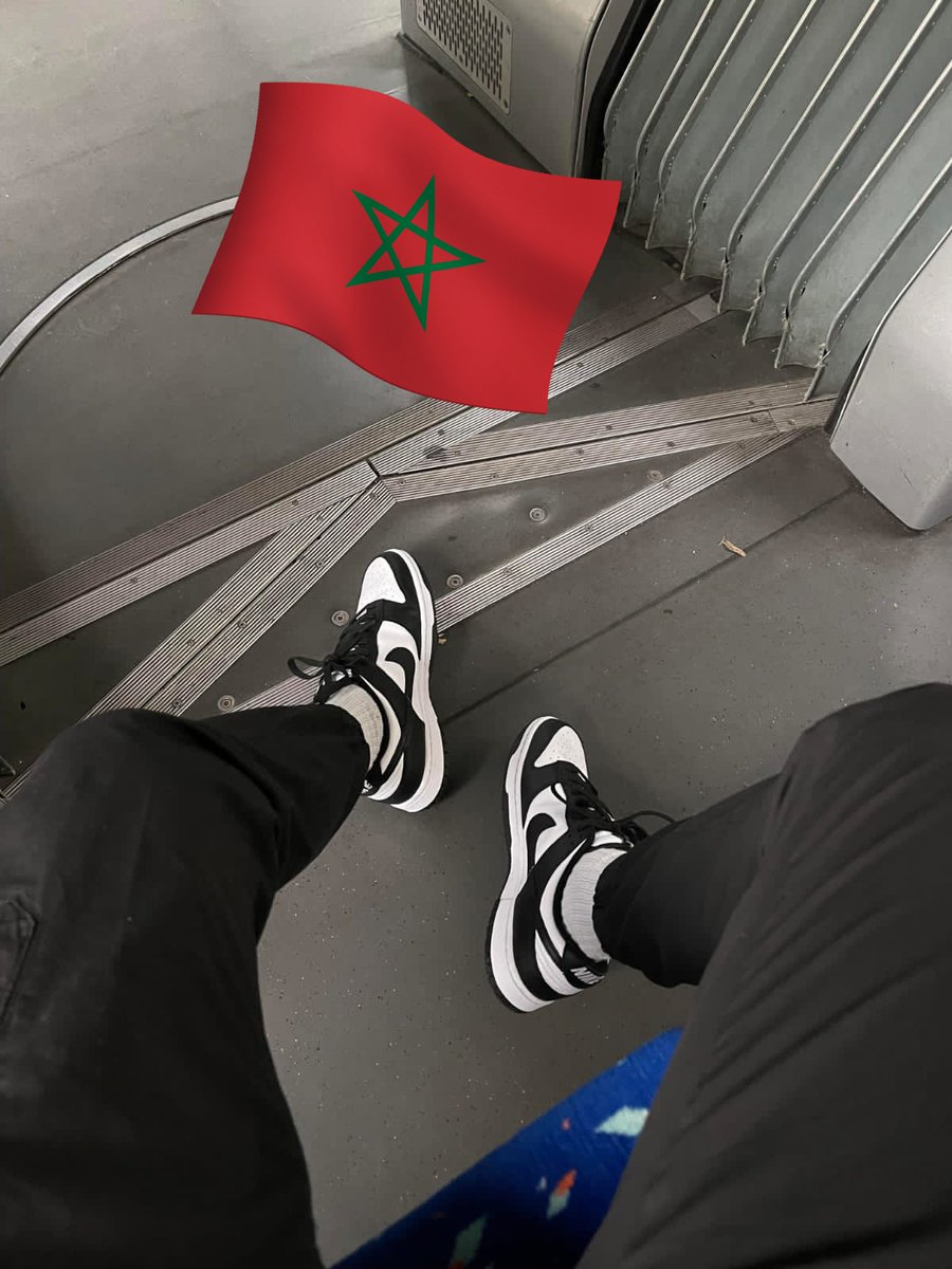 ReMixouro's tweet photo. Good morning from Morocco 
Are there any companions? 
#today  #Animal #WorldCup2026 #Morocco2025 #Americans #EuropeNews https://t.co/3vmSNwdvNN
