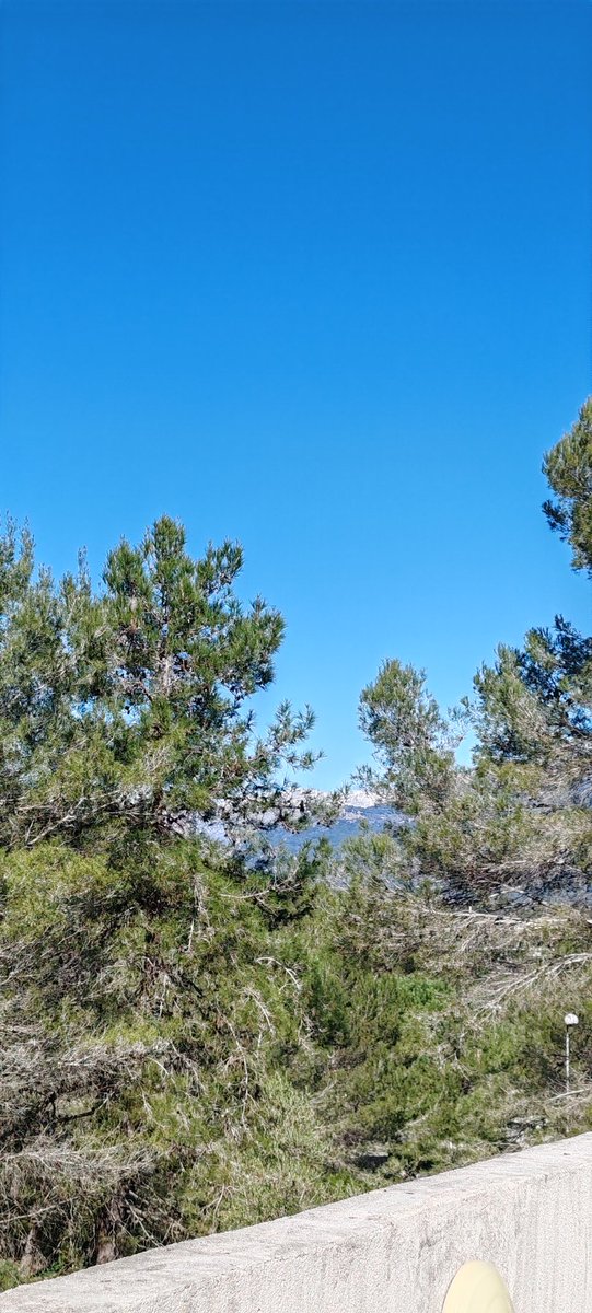 BenjiBurn tweet media