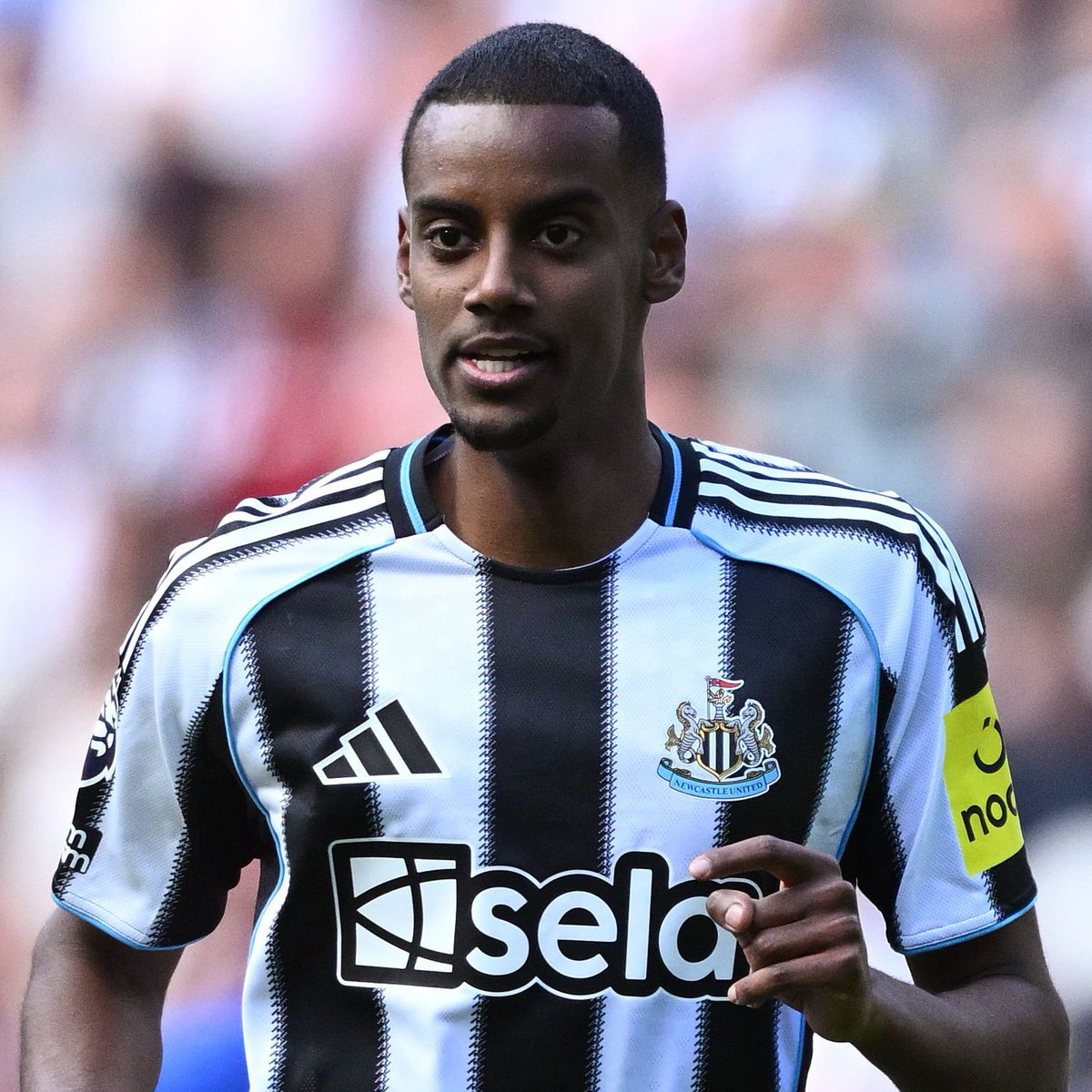 Magpie Media tweet media