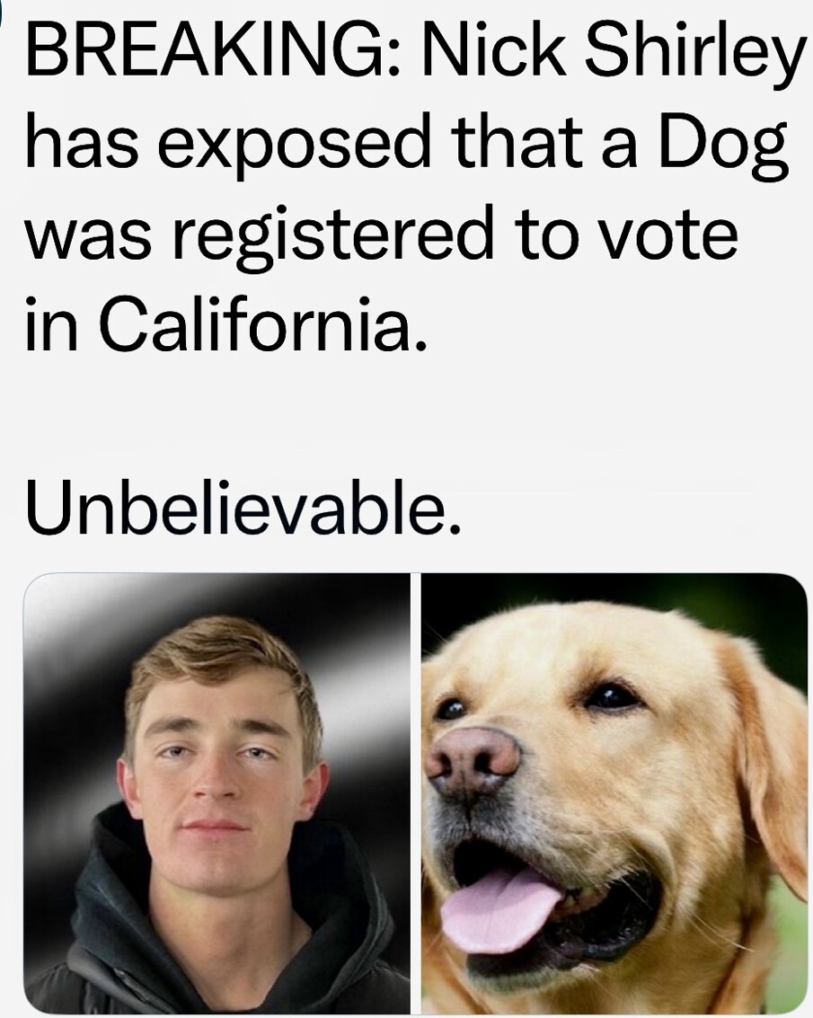 TaraBull tweet media