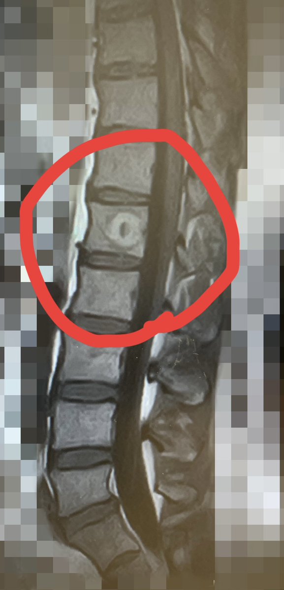 ちゃる tweet media