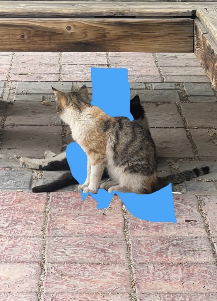 superzan0's tweet photo. https://t.co/huz9mSHCVr
