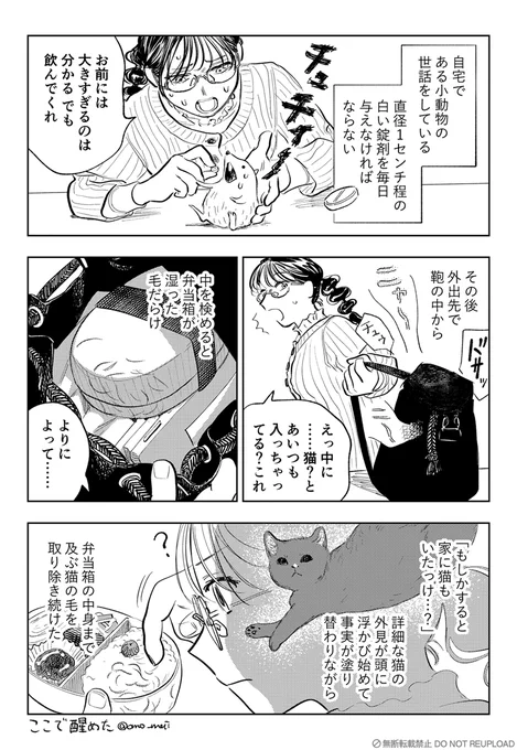 2025年1月25日に見た夢 #ここで醒めた 