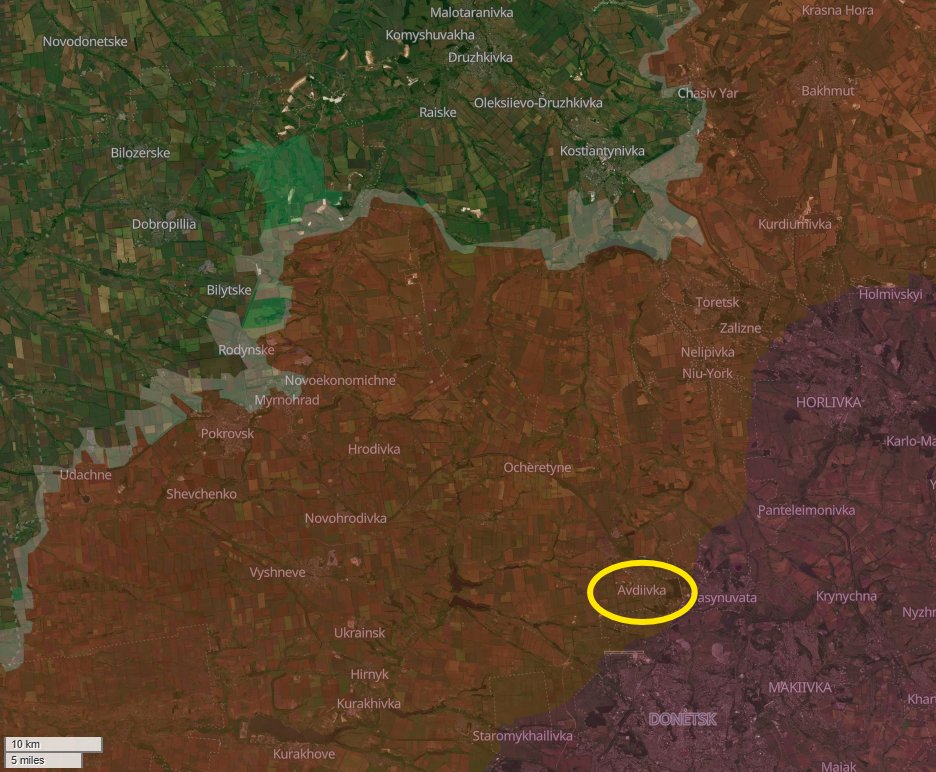 Preston Stewart tweet media